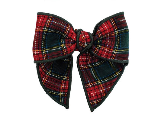 Lazo pelo galerna - Calamaro