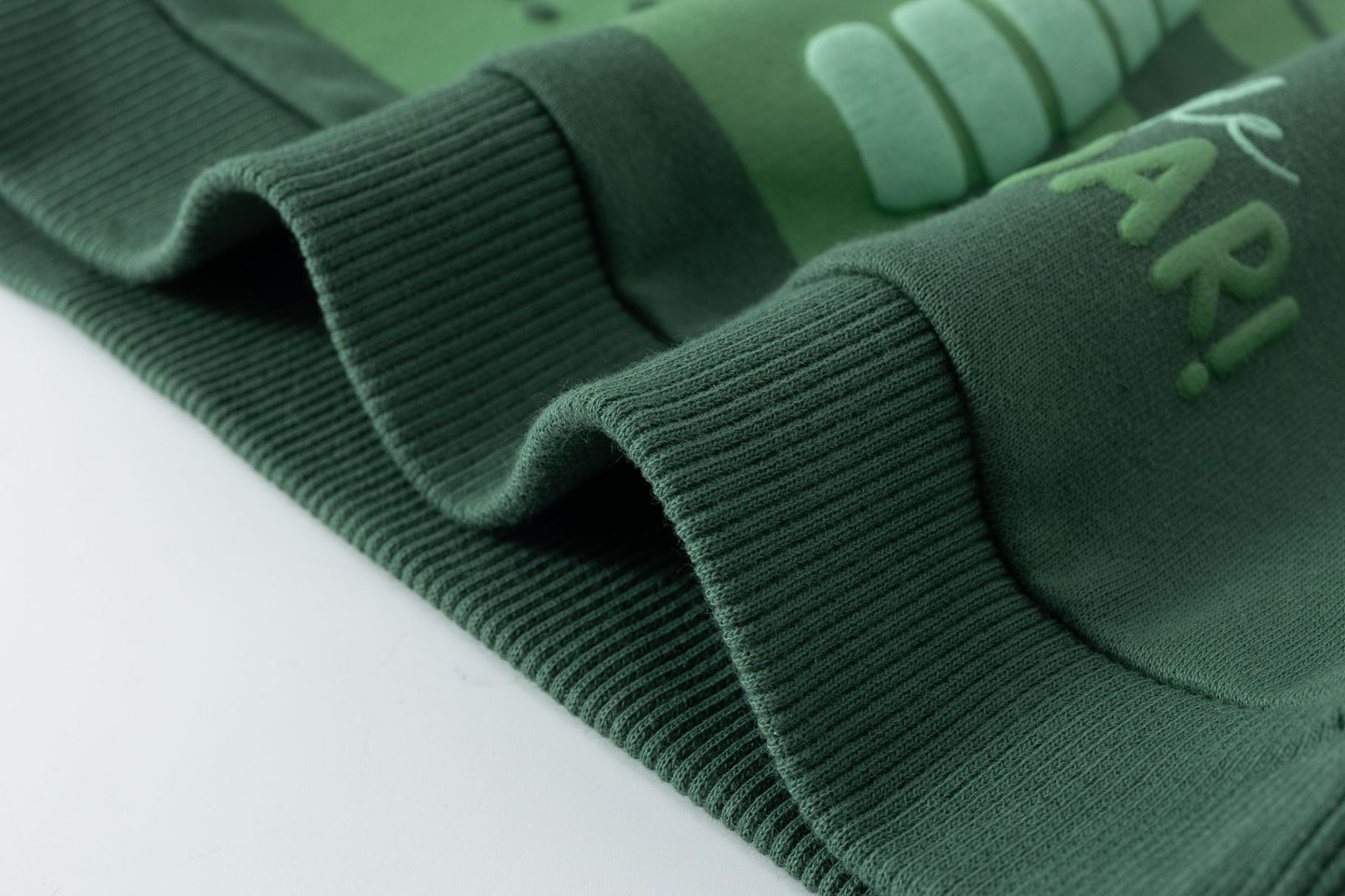 Sudadera bebé dinosaurio en verde - Newness invierno