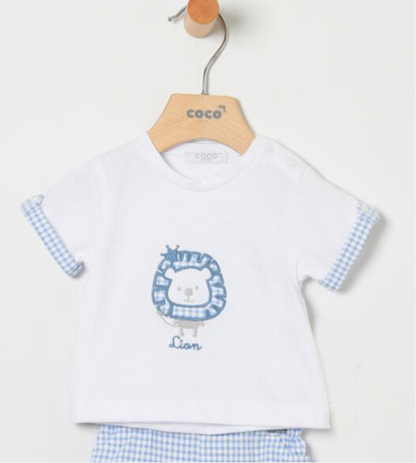 Conjunto niño camiseta León azul - Coco Acqua 2025