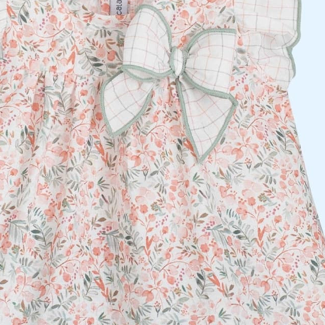 Jesusito flores y cuadros Mumbai - Calamaro