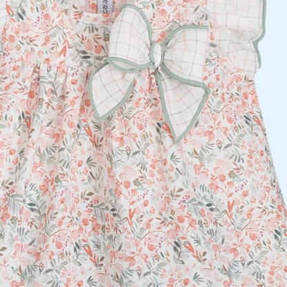 Jesusito flores y cuadros Mumbai - Calamaro